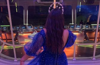 Galactic Starcruiser Was You Made the Expertise