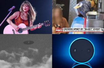 Taylor Swift’s Personal Jet Will Be More durable to Observe Whereas Information About UFOs Would possibly Be Simpler to Get