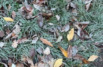 How one can Beat the Winter Blues… — Estée Lalonde