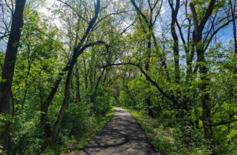 The Little Issues Publication #414 – Life, laughter, and many nice meals!