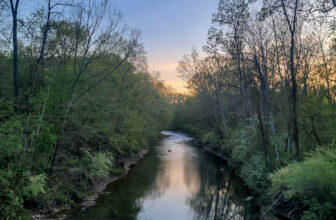 The Little Issues E-newsletter #415 – Life, laughter, and plenty of nice meals!