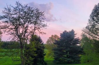 The Little Issues Publication #416 – Life, laughter, and plenty of nice meals!