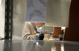 Hayao Miyazaki and the Heron Explores the Ghibli Grasp’s Journey on His Newest Movie