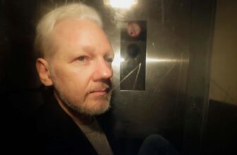 Julian Assange Will Be Launched in Plea Deal With U.S.: Report
