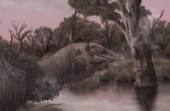 Meet the ‘Giga-Goose,’ a 500-Pound Ice Age Fowl