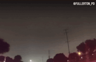 ‘Self-Driving’ Tesla Slams Into Cop Automobile in Orange County, California