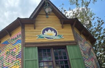 Disney Made It Extra Troublesome to Journey What You Need, Simply in Time for Tiana’s Bayou Journey