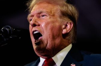 6 Viral Conspiracy Theories Concerning the Trump-Biden Debate That Are Completely Pretend