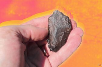 The right way to establish rocks together with your cellphone