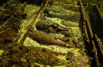 Over 100 Uncorked Champagne Bottles Present in 170-Yr-Previous Shipwreck