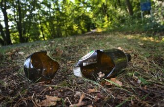 No Hyperlink Between Gentle Consuming and Longer Life, Examine Finds