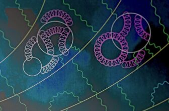 The Muon Fails to Upend Physics as We Know It