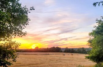 The Little Issues Publication #424 – Life, laughter, and many nice meals!