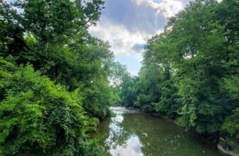 The Little Issues Publication #425 – Life, laughter, and many nice meals!