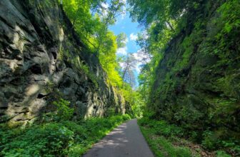 The Little Issues E-newsletter #426 – Life, laughter, and many nice meals!