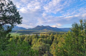 The Little Issues Publication #427 – Life, laughter, and plenty of nice meals!