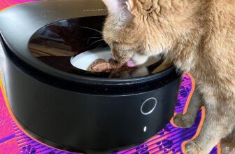 Petlibro Polar Moist Meals Feeder assessment