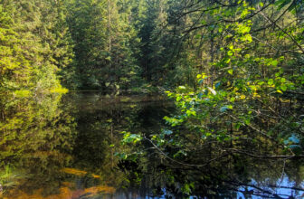 The Little Issues Publication #430 – Life, laughter, and plenty of nice meals!