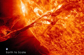 Earth’s Magnetic Protect Twisted Out of Form by Colossal Photo voltaic Burst