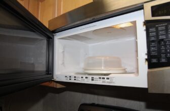 Your Microwave Might Be a Haven for Surprisingly Resilient Micro organism