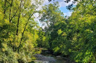 The Little Issues Publication #434 – Life, laughter, and many nice meals!