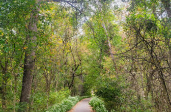 The Little Issues Publication #435 – Life, laughter, and many nice meals!