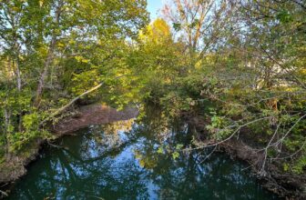 The Little Issues Publication #438 – Life, laughter, and plenty of nice meals!