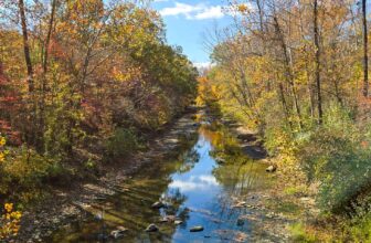 The Little Issues E-newsletter #440 – Life, laughter, and many nice meals!